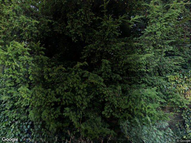 Street view · 2024