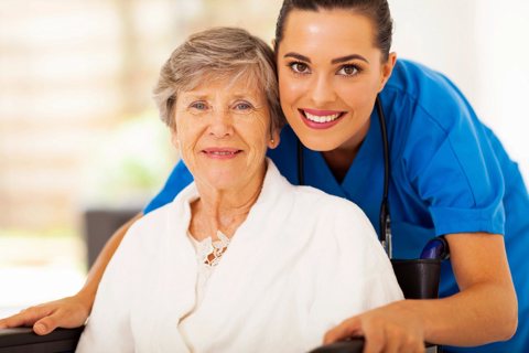 Executive Care Personnel Limited, Fleet