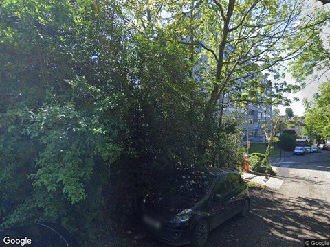 Forest Haven, London