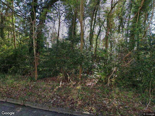 Street view · 2025