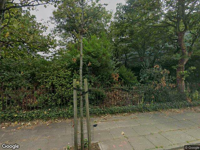 Street view · 2025