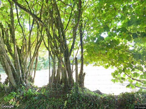 Trelowen Manor, Liskeard
