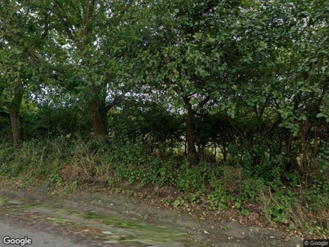 Coppice Lea, Redhill