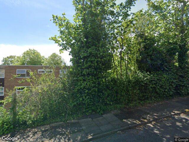 Street view · 2024