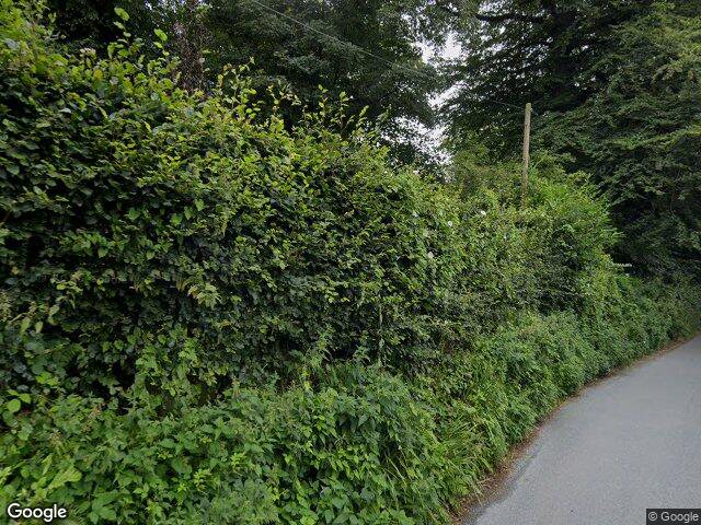 Street view · 2021