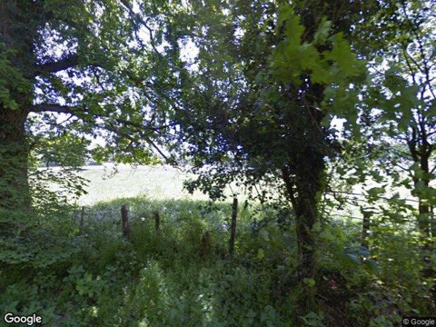 Elm Lodge, Hook