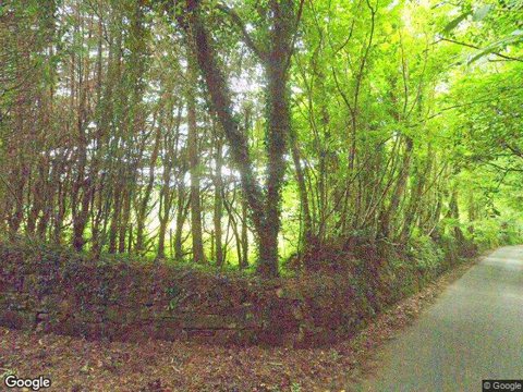 Homeland, Yelverton