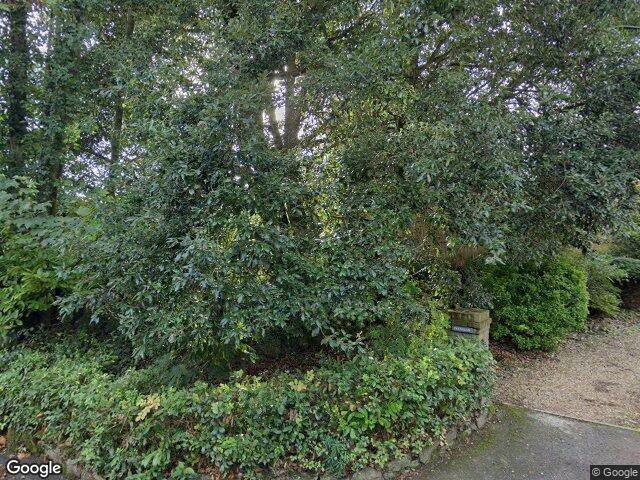 Street view · 2022