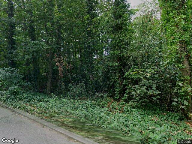 Street view · 2024
