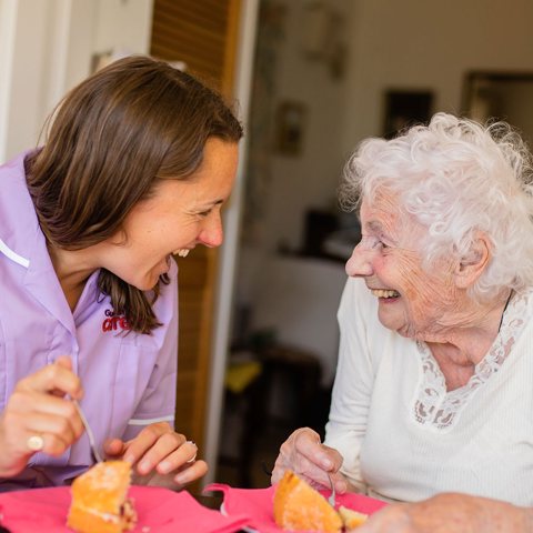 Guardian Angel Carers Farnham Fleet Farnborough, Farnham