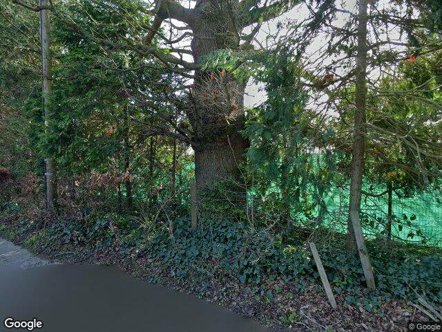 Street view · 2026
