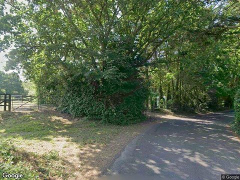 Dryad Spinney, Southampton