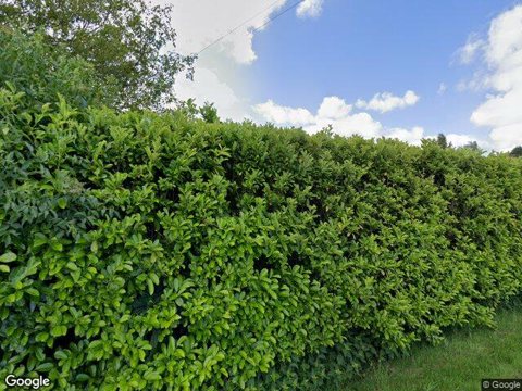 Cherry Trees, Alcester