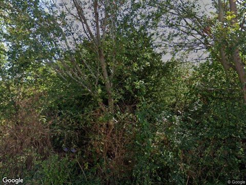 Orchid, South Ockendon