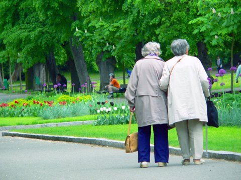 The Garden of Kent Homecare LTD  t/a The Garden of England Homecare, Maidstone